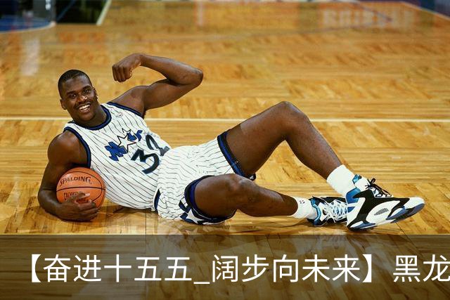 【奋进十五五 阔步向未来】黑龙江农机产业正加速迈向高端化智能化绿色化
